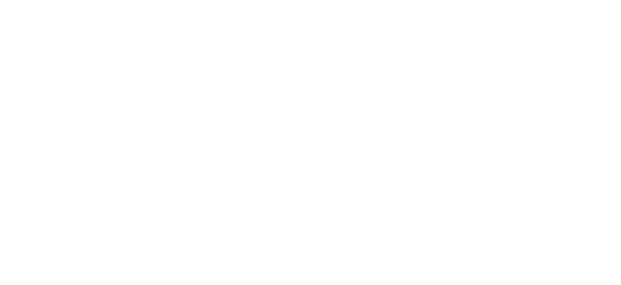 روڈو پے partner logo